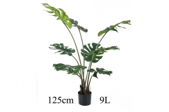 008 veštačka stabla filadenrona